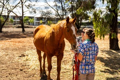 Vet nurse with horse
