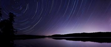 Stars