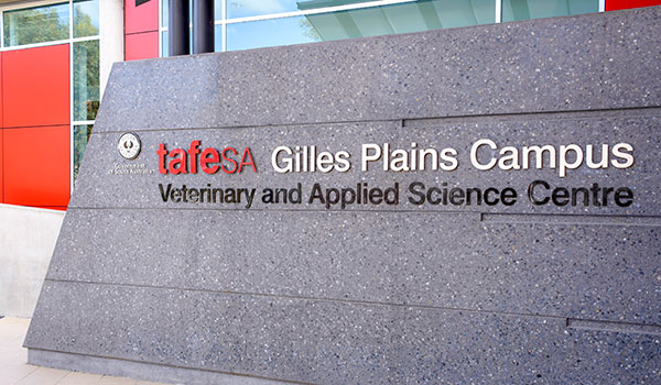 Animal Studies And Veterinary Nursing