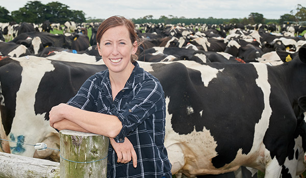 megan-cows-fence