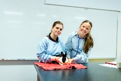 Vet nurse with rabbit