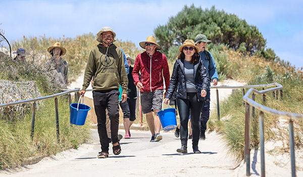 Sea Grass Seed collection