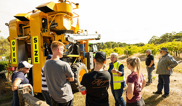 viticulture students at vineyard