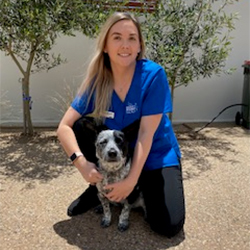 Animal Studies and Veterinary Nursing Animal Studies and Veterinary Nursing