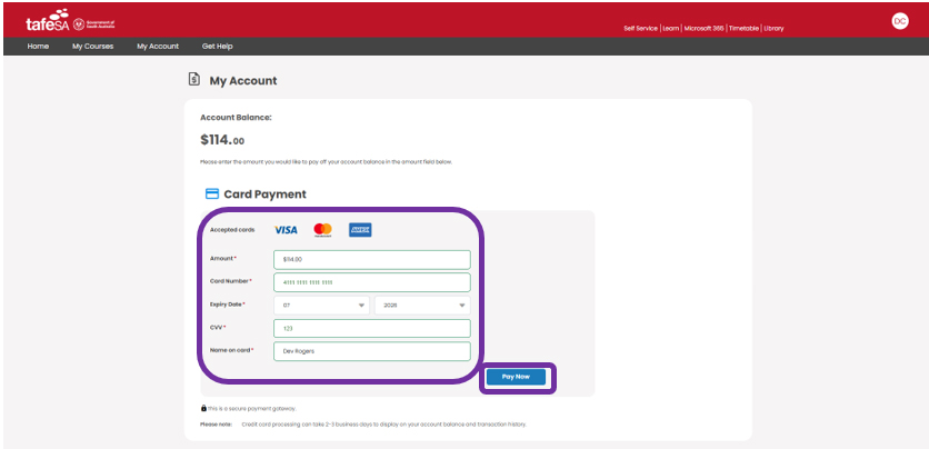 Card payment details