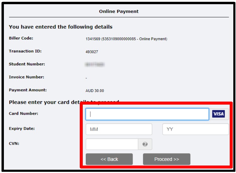 process_credit_card_payment
