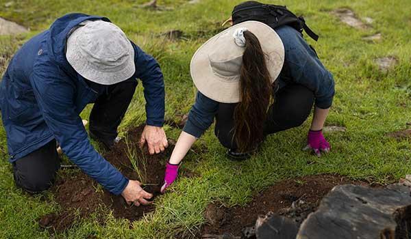 certificate iii in conservation and ecosystem management